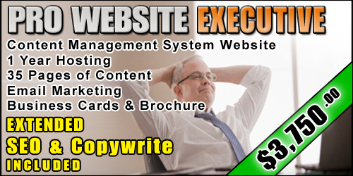 Web Design EXECUTIVE PACKAGE