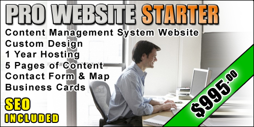 Web Design Starter Package | Chicago Web Design